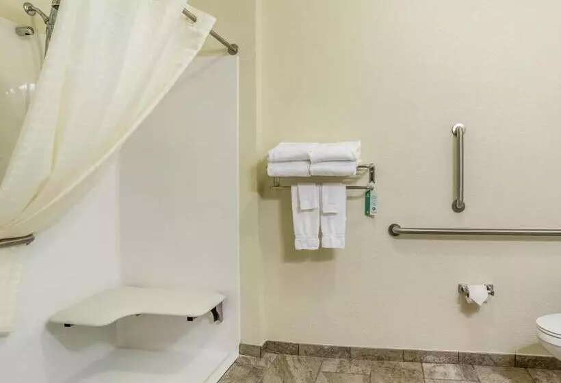 Hotelli Comfort Inn & Suites Morgan