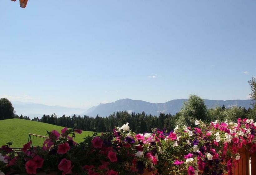 ホテル Gasthof St. Ulrich