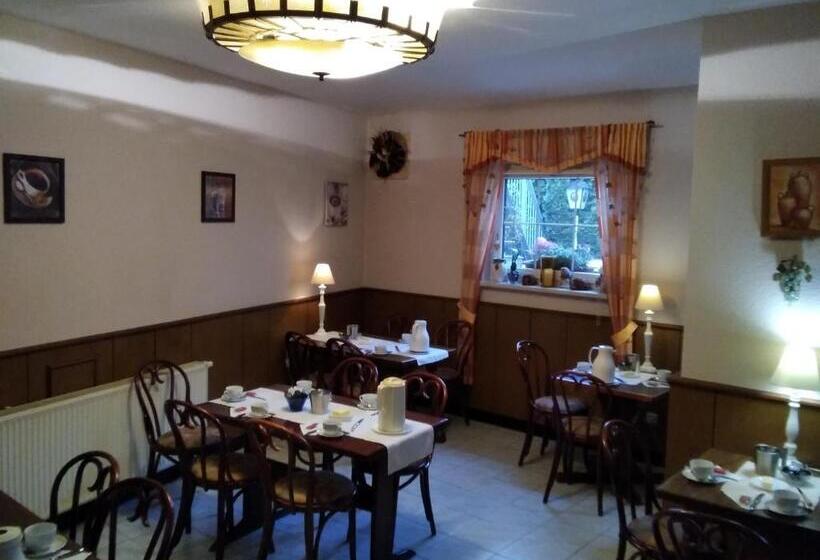 فندق Pension Schulze