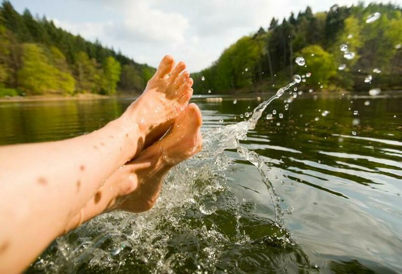 בית מלון כפרי Seehaus Forelle Haeckenhaus