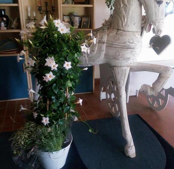 Il Giardino Di Mai Exclusive B&b