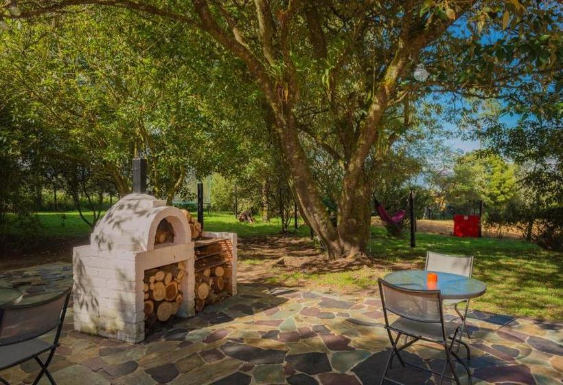 بنسيون Entre árboles Hostal