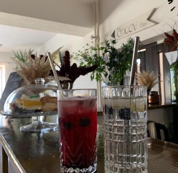 פנסיון Turistická Ubytovňa Hornád