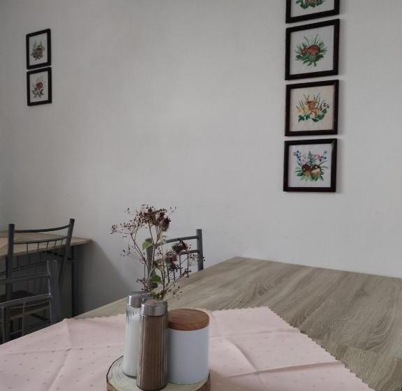 פנסיון Turistická Ubytovňa Hornád