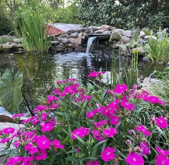 Gillen House Bed And Breakfast