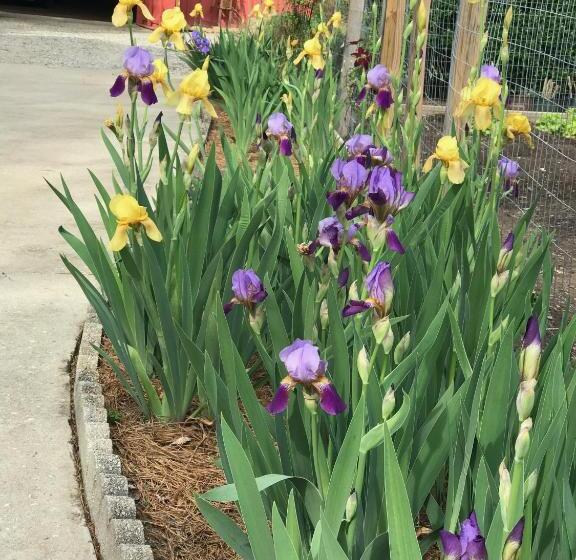 Gillen House Bed And Breakfast