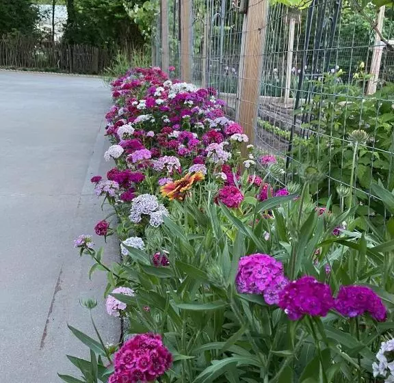 Gillen House Bed And Breakfast