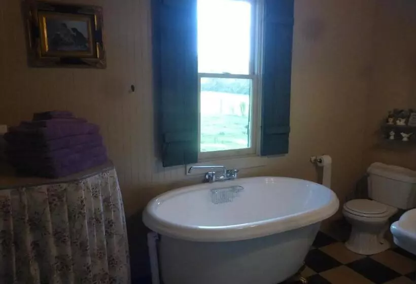 Mulberry Lavender Farm And B&b