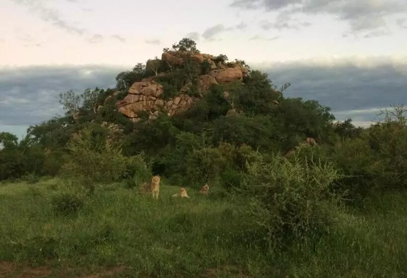 ペンション Adonsonia Lodge