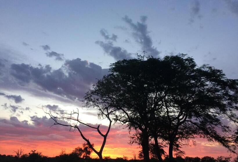 Pension Adonsonia Lodge