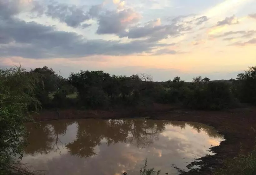 ペンション Adonsonia Lodge