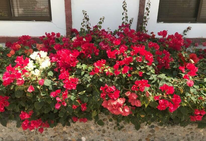 بنسيون Casa Blue Tortuga