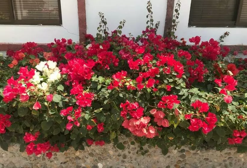 Majatalo Casa Blue Tortuga