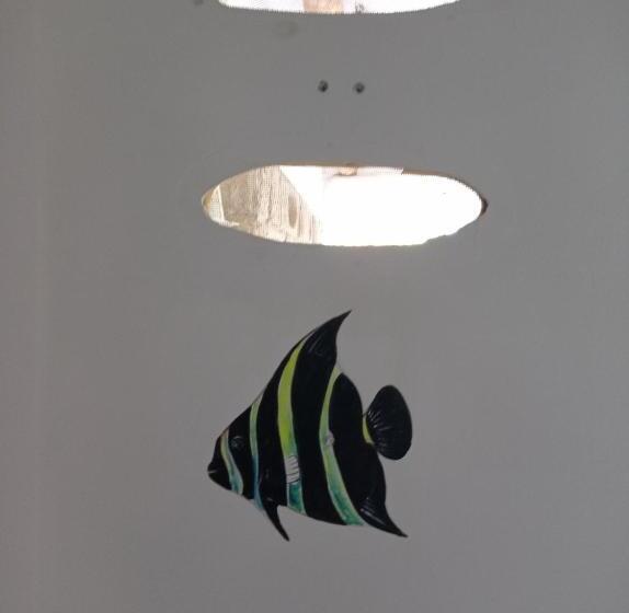 پانسیون Casa Caracola