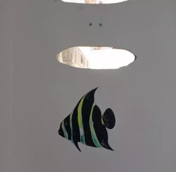 Majatalo Casa Caracola