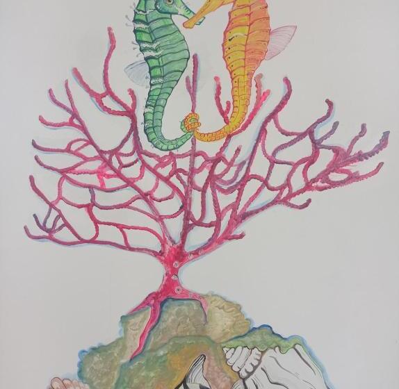 پانسیون Casa Caracola