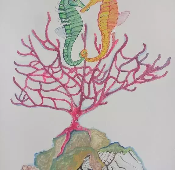 Majatalo Casa Caracola