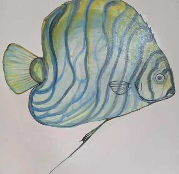 Majatalo Casa Caracola