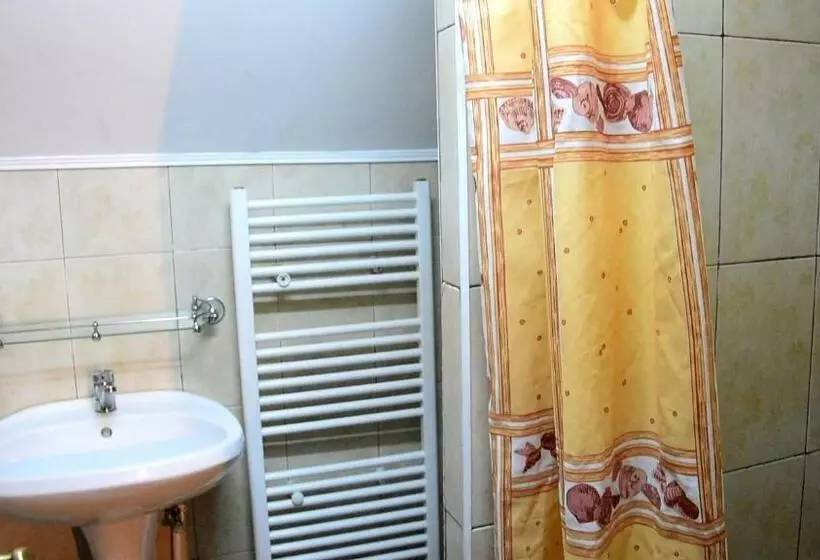 پانسیون Casa Rareş Suceviţa