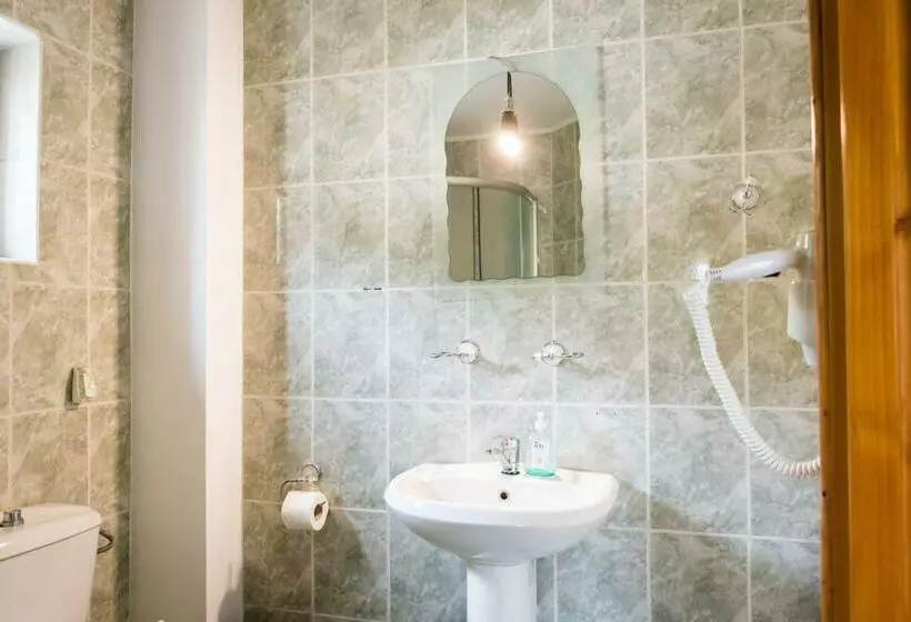 پانسیون Casa Rareş Suceviţa