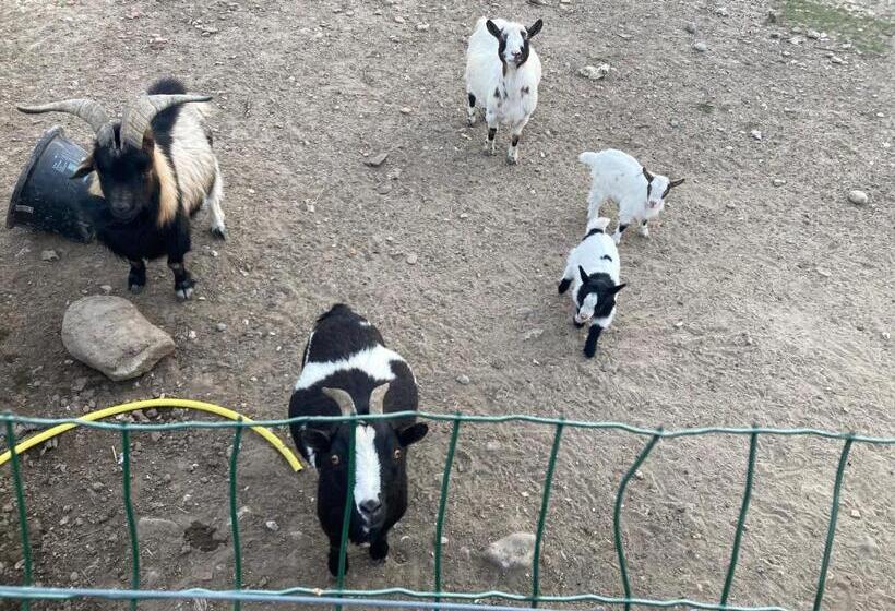 Пансион Chambres Dhotes A La Ferme