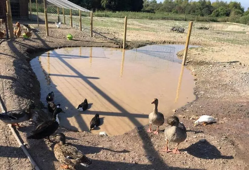 Pension  Chambres Dhotes A La Ferme