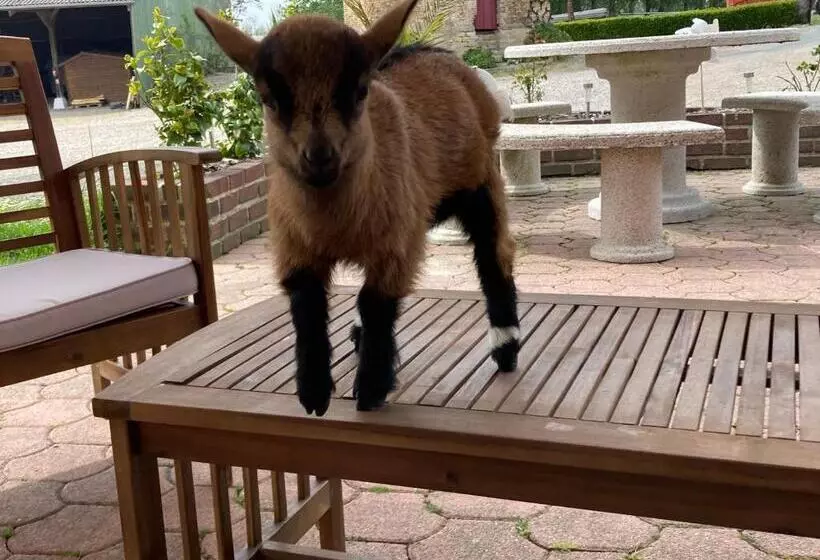 Pension  Chambres Dhotes A La Ferme