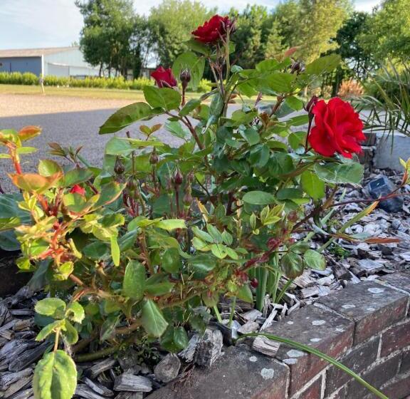 Пансион Chambres Dhotes A La Ferme