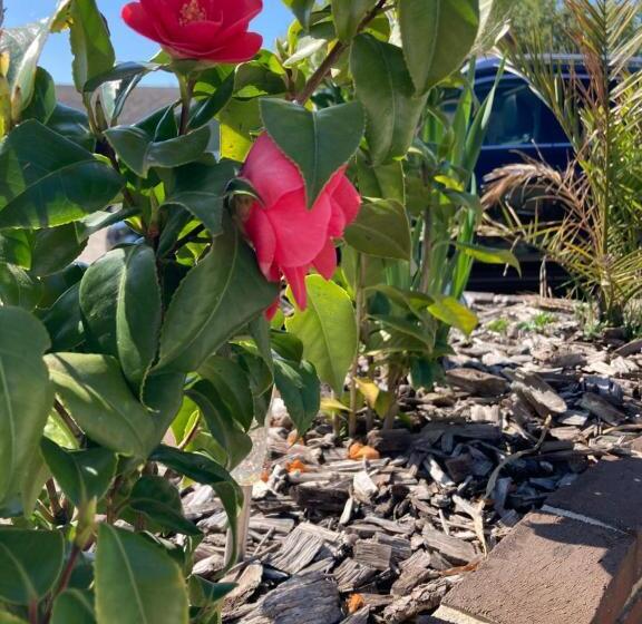 Пансион Chambres Dhotes A La Ferme