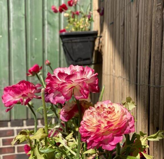 Пансион Chambres Dhotes A La Ferme