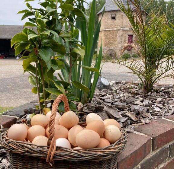 Пансион Chambres Dhotes A La Ferme