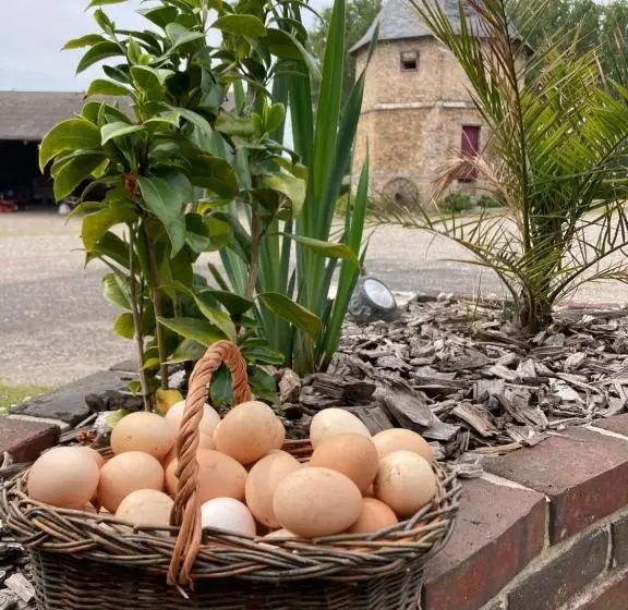Pension  Chambres Dhotes A La Ferme