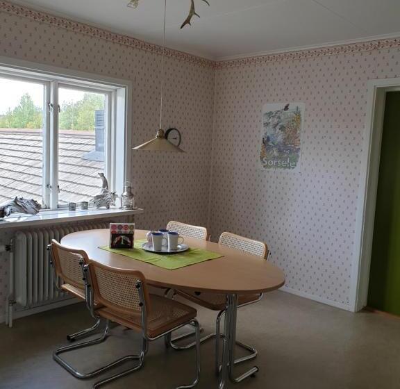 پانسیون Hook&cup