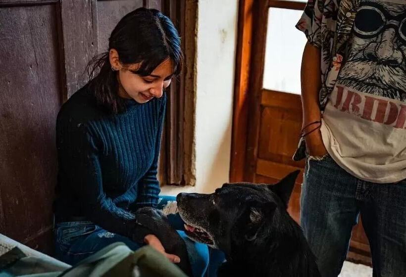 بنسيون Hostel La Abuela