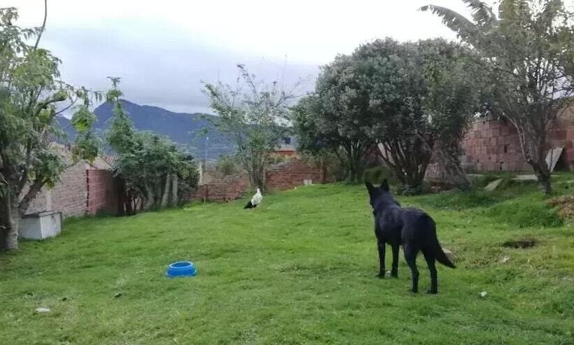 بنسيون Hostel La Abuela