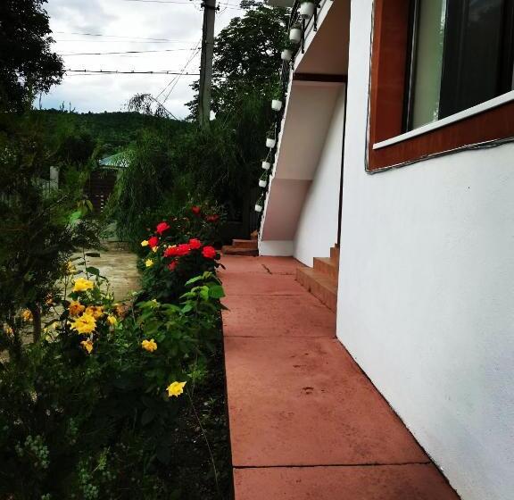 بنسيون Natalia Guesthouse