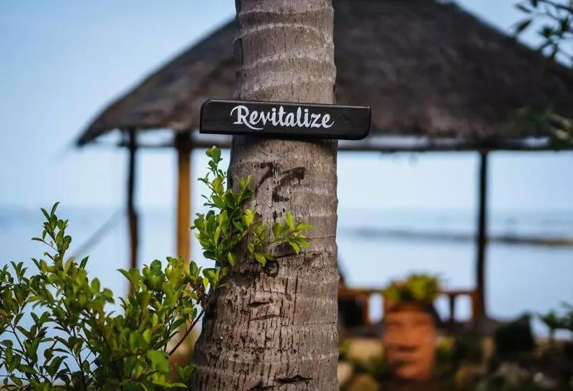 Lomakeskus Orion Healing Centre