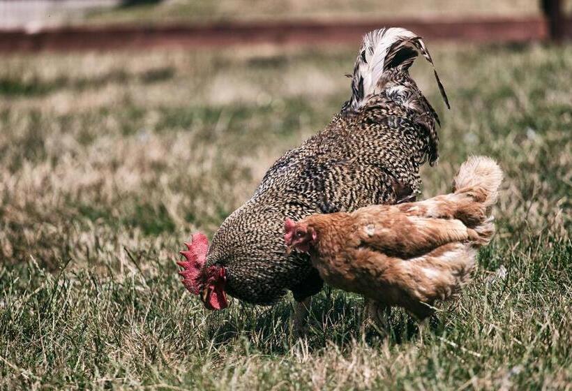 旅馆 Hostinec U Hromadov Ubytovanie V Súkromí