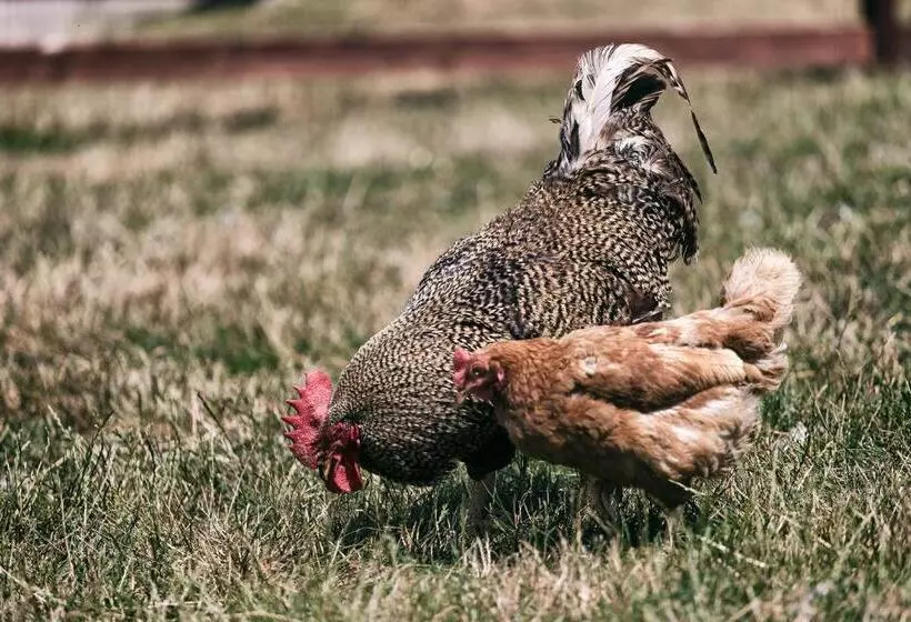 Retkeilymaja Hostinec U Hromadov   Ubytovanie V Súkromí