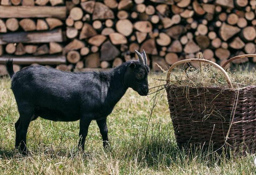 旅馆 Hostinec U Hromadov Ubytovanie V Súkromí