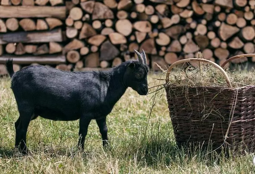 Retkeilymaja Hostinec U Hromadov   Ubytovanie V Súkromí