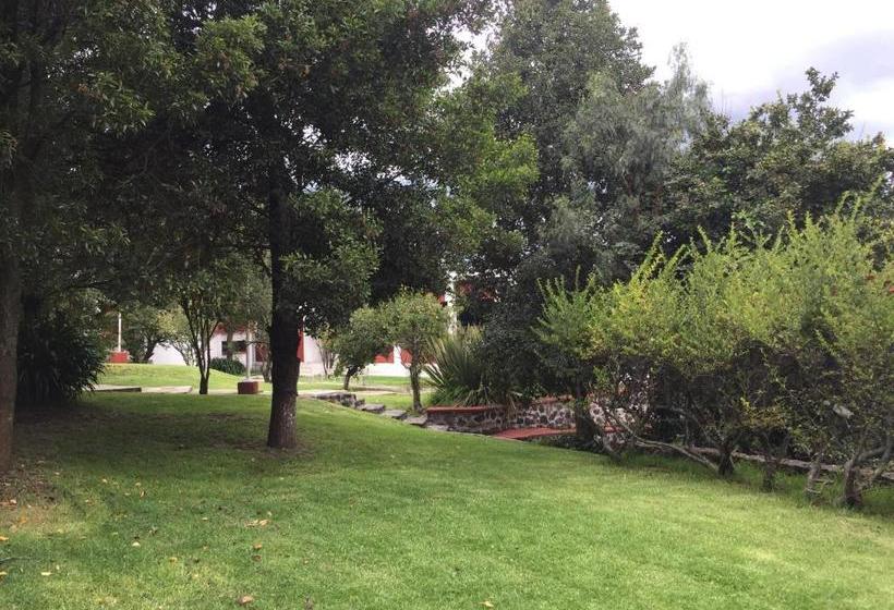 فندق صغير Posada Familiar Dalila