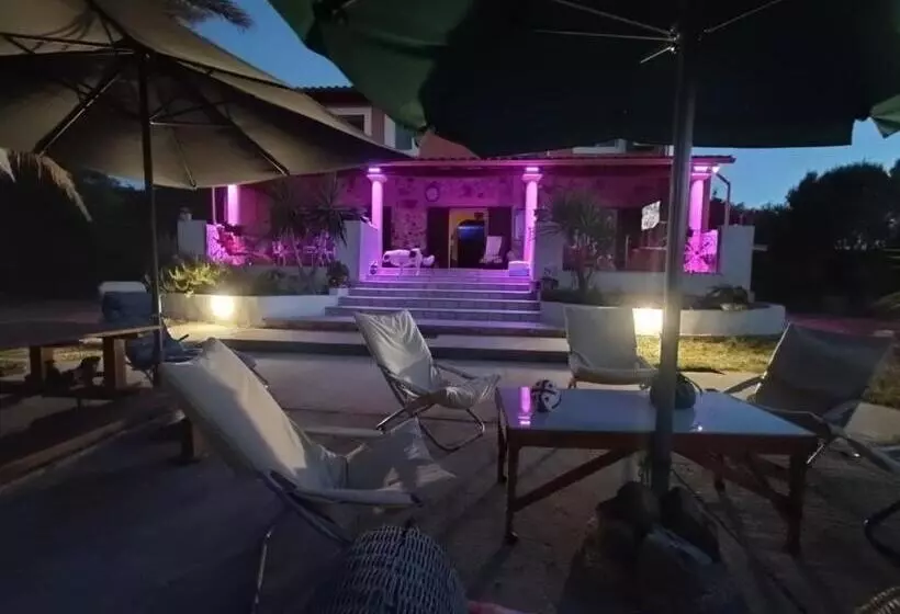 ベッドアンドブレックファースト Orange Ville