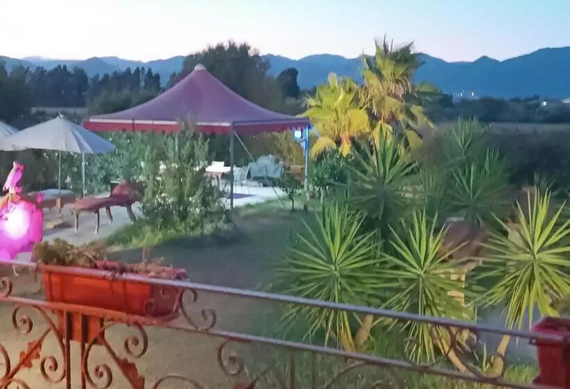 ベッドアンドブレックファースト Orange Ville