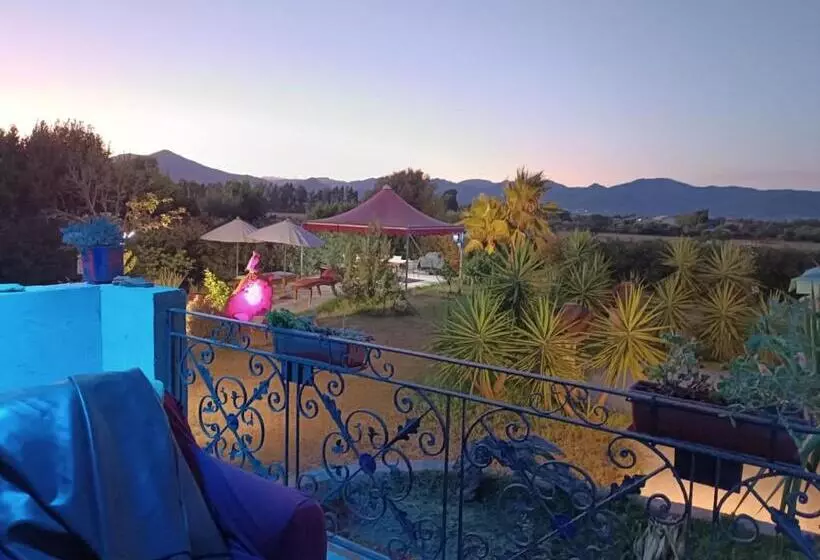 ベッドアンドブレックファースト Orange Ville