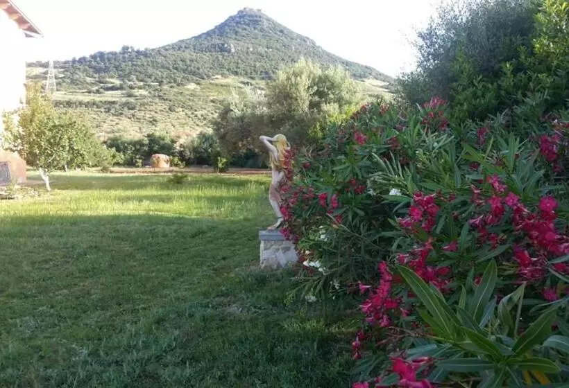 ベッドアンドブレックファースト Orange Ville