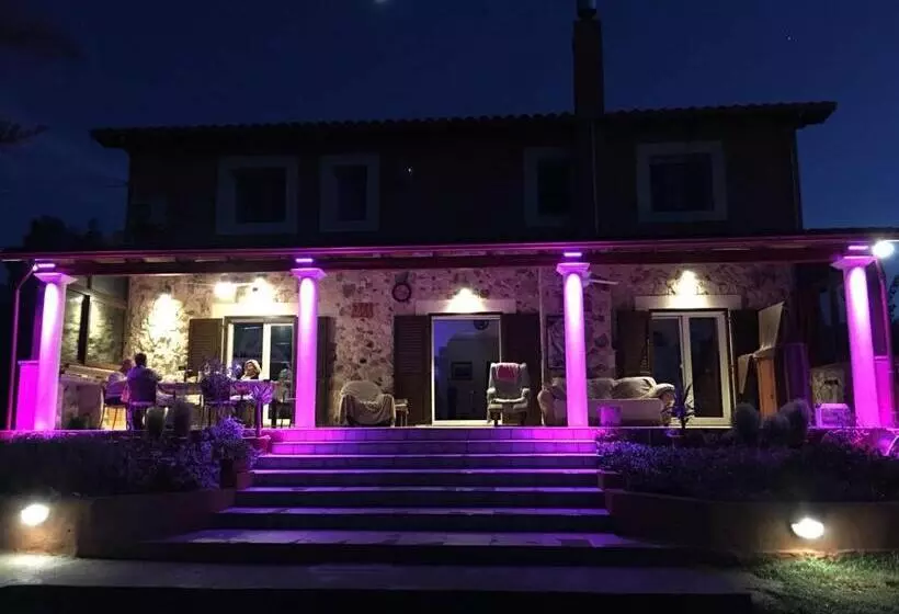 ベッドアンドブレックファースト Orange Ville