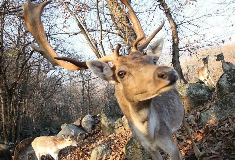 酒店 Agriturismo La Pedruscia