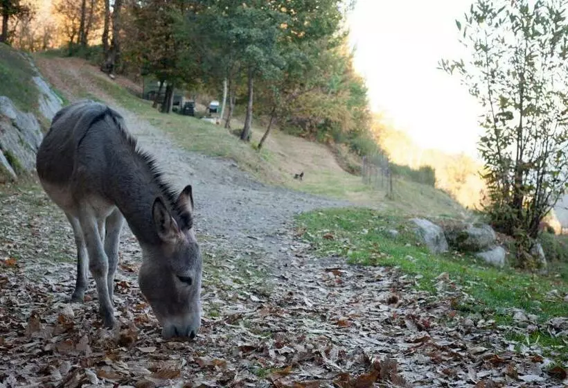ホテル Agriturismo La Pedruscia
