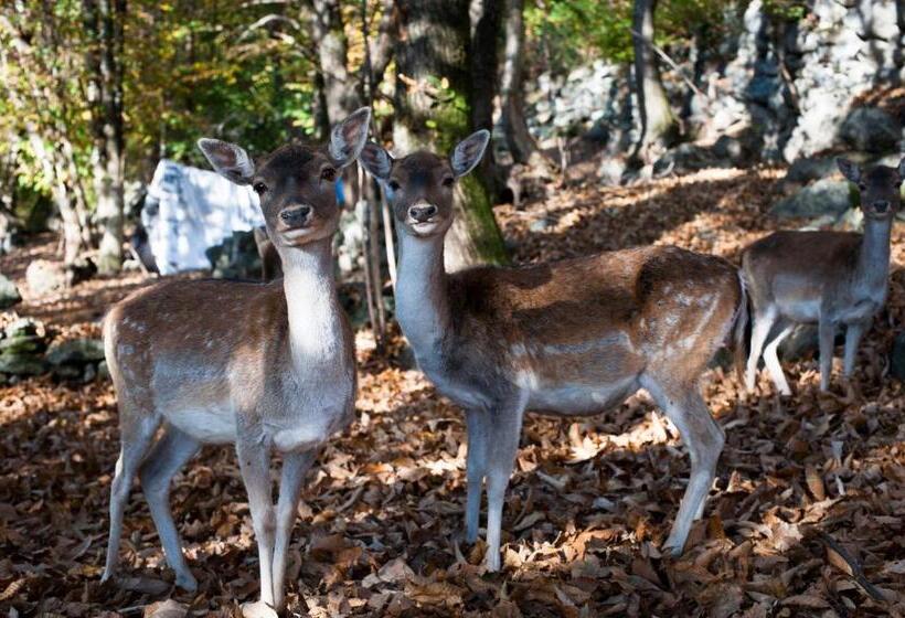 酒店 Agriturismo La Pedruscia